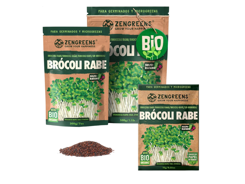 Portada del libro Derrota Vampiros Energéticos